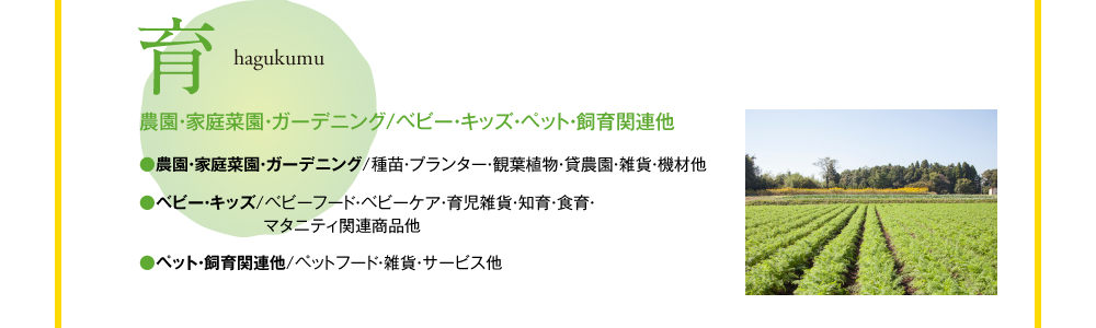 育 hagukumu 農園・家庭菜園・ガーデニング/ベビー・キッズ・ペット・飼育関連他 ●農園・家庭菜園・ガーデニング/種苗・プランター・観葉植物・貸農園・雑貨・機材他 ●ベビー・キッズ/ベビーフード・ベビーケア・育児雑貨・知育・食育・マタニティ関連商品他 ●ペット・飼育関連他/ペットフード・雑貨・サービス他